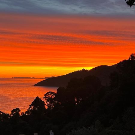 Magnifique Villa Neuve Vue Mer Cavalaire-sur-Mer Exterior foto